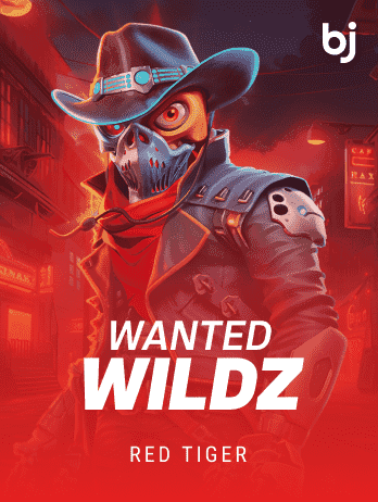 Wanted Wildz game thumbnail